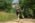 Beljanica EcoTrail 2023