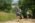 Beljanica EcoTrail 2023