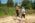 Beljanica EcoTrail 2023