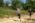 Beljanica EcoTrail 2023