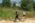 Beljanica EcoTrail 2023