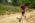 Beljanica EcoTrail 2023