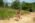 Beljanica EcoTrail 2023