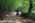 Beljanica EcoTrail 2023