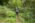 Beljanica EcoTrail 2023