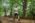 Beljanica EcoTrail 2023