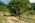 Beljanica EcoTrail 2023