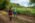 Beljanica EcoTrail 2023