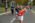 Kragujevacki polumaraton 2023
