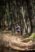 Beljanica Eco Trail 2024