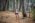 Beljanica Eco Trail 2024