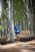 Beljanica Eco Trail 2024