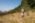 Beljanica Eco Trail 2024