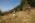 Beljanica Eco Trail 2024