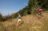 Beljanica Eco Trail 2024