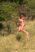 Beljanica Eco Trail 2024