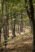 Beljanica Eco Trail 2024