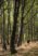 Beljanica Eco Trail 2024