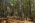 Beljanica Eco Trail 2024