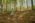 Beljanica Eco Trail 2024