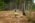 Beljanica Eco Trail 2024