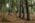 Beljanica Eco Trail 2024