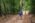 Beljanica Eco Trail 2024