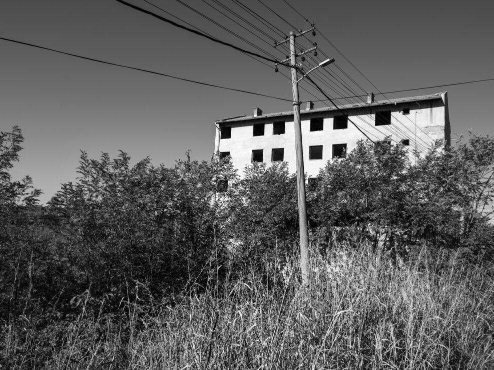 Sarmates 2024 safari