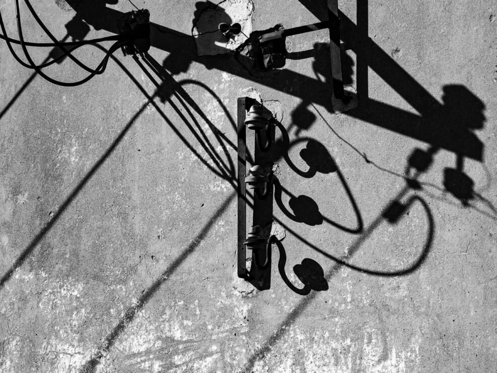 Sarmates 2024 safari