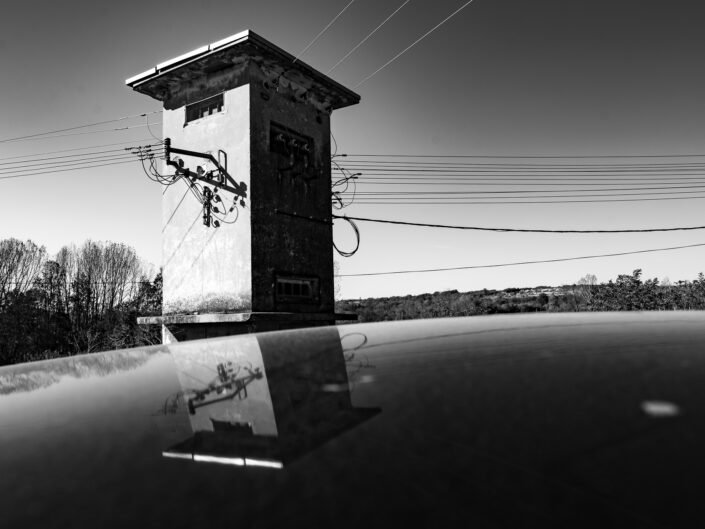 Sarmates 2024 safari