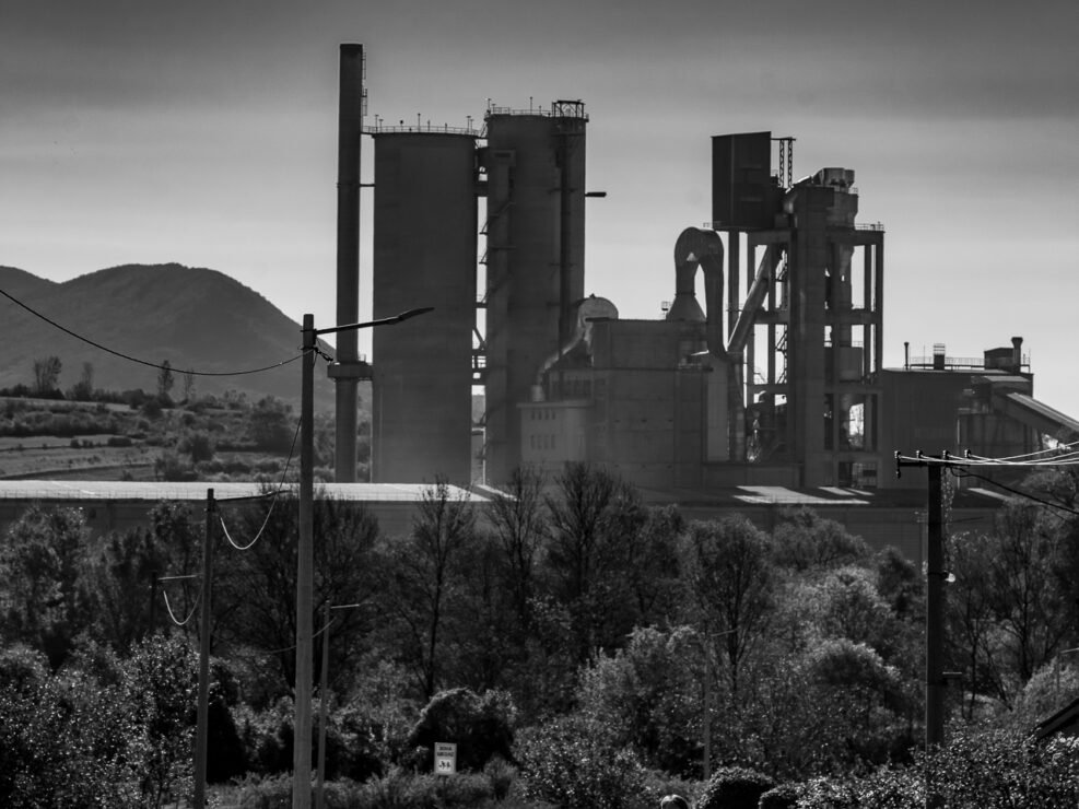 Sarmates 2024 safari