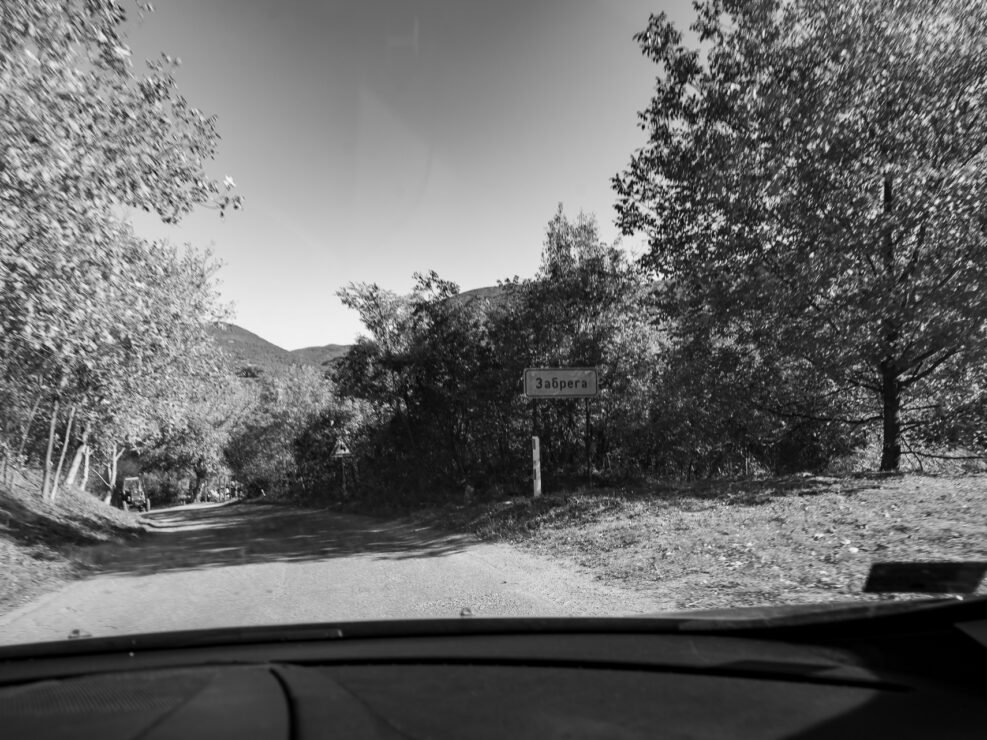 Sarmates 2024 safari