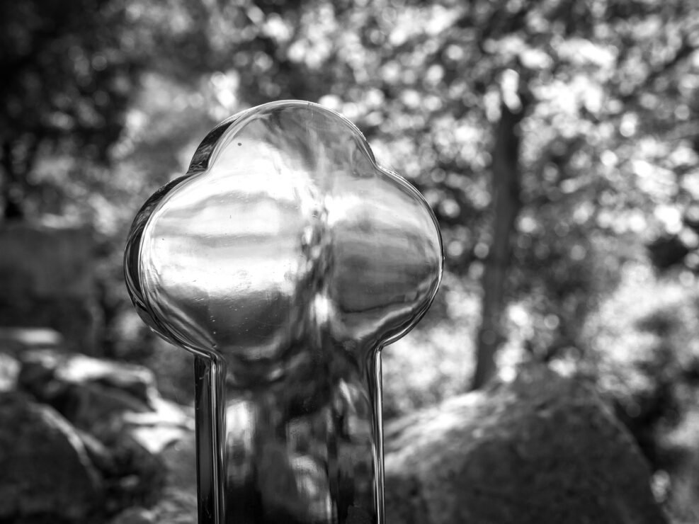 Sarmates 2024 safari