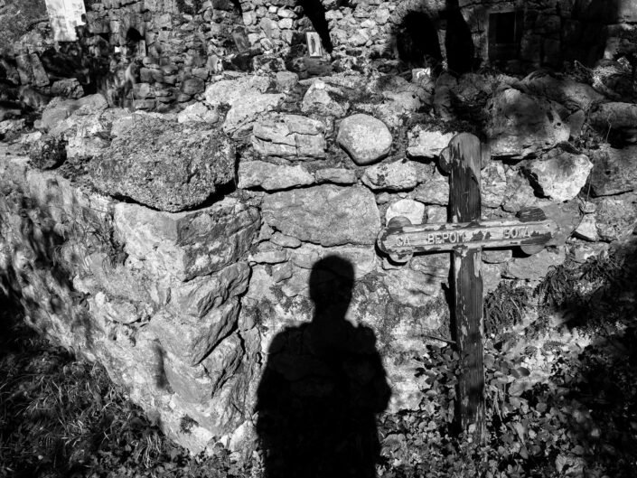 Sarmates 2024 safari