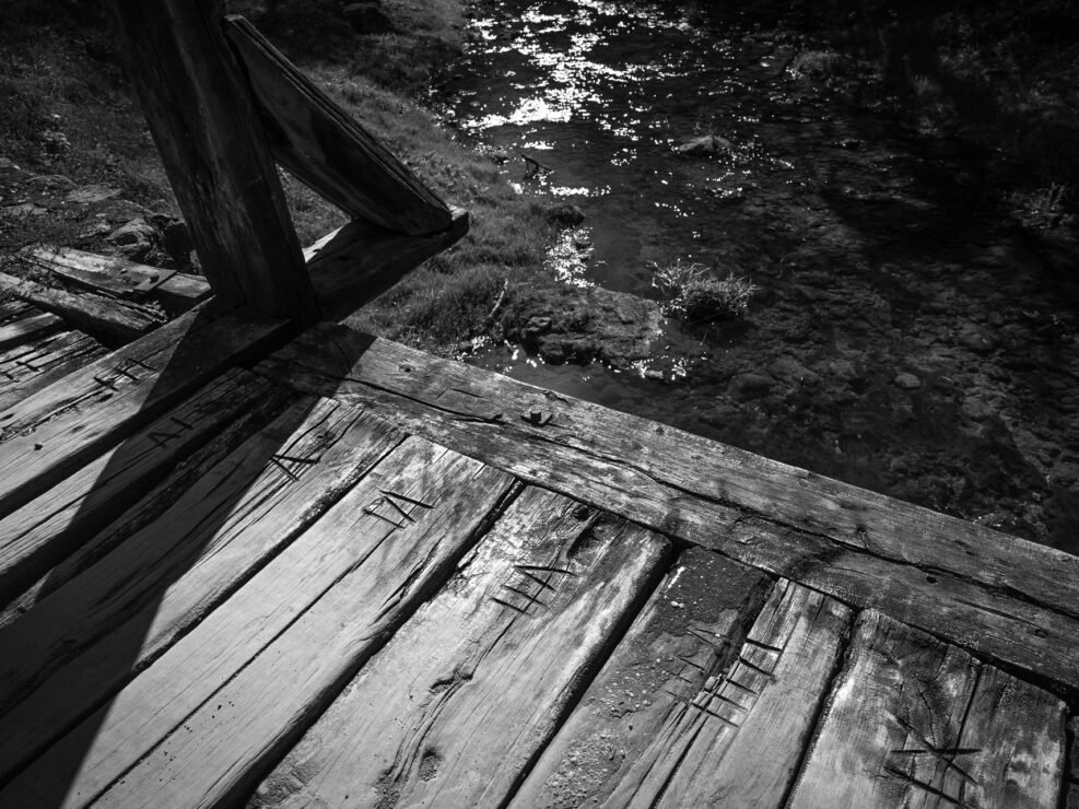 Sarmates 2024 safari