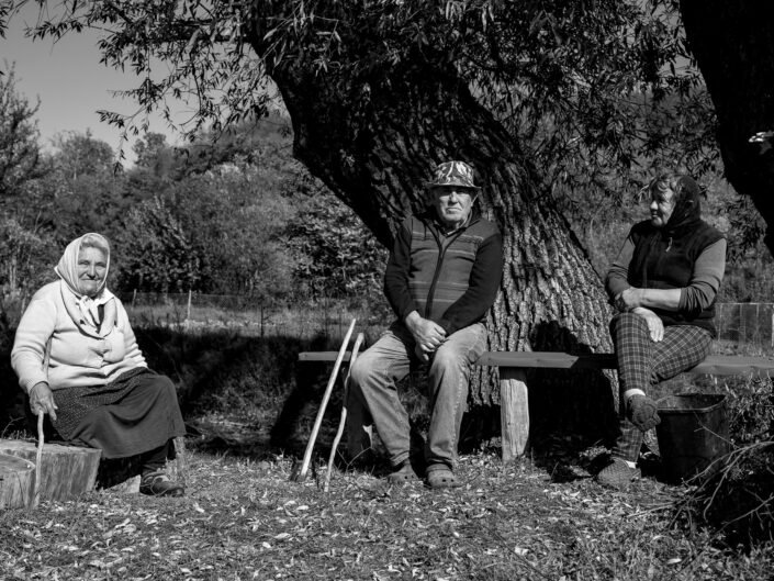 Sarmates 2024 safari