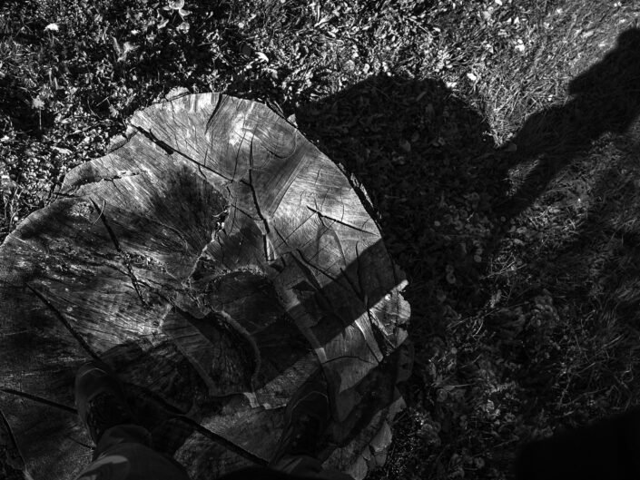 Sarmates 2024 safari