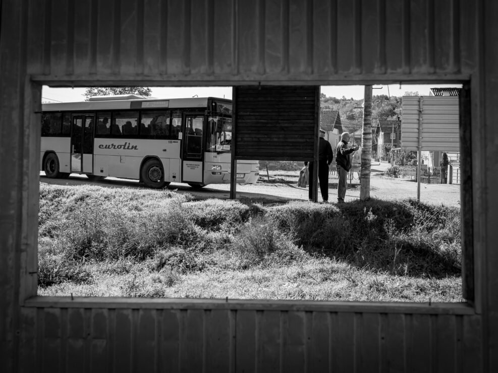 Sarmates 2024 safari