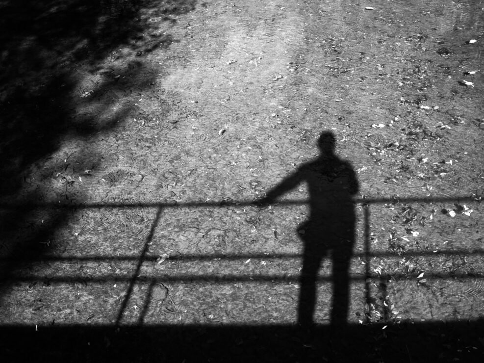 Sarmates 2024 safari