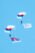 Aeromind 2025