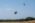 Aeromind 2025