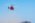 Aeromind 2025