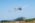 Aeromind 2025