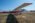 Aeromind 2025