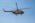 Aeromind 2025