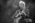 Darko Rundek Arsenal Fest 2025 Kragujevac