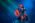Senidah Arsenal Fest 2025 Kragujevac