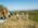 Sumadija trail Adzine Livade 2026
