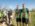 Sumadija trail Adzine Livade 2026