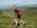 Sumadija trail Adzine Livade 2026